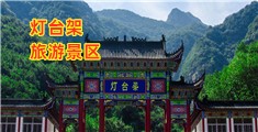 抽插美逼视频