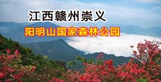 美女被大鸡吧轮操受不了黄片